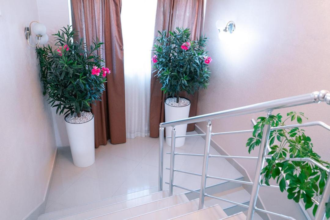 Hotel Zeleni Vir Ni Eksteriør billede